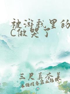 被游戏里的NPC做哭了