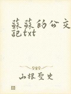 苏苏的公交车日记txt