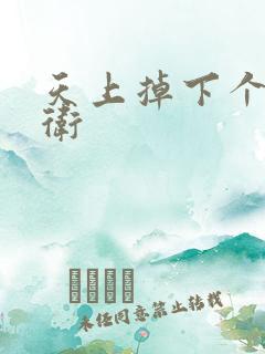 天上掉下个影卫卫