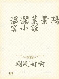 温澜叶景阳温云云小说