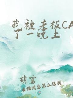 我被老板CAO了一晚上