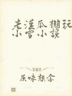 老汉瓜棚玩小丹小雪小说