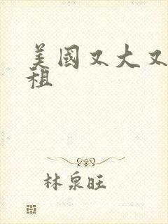 美国又大又长又租