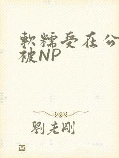 软糯受在公交车被NP