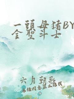 一头母猪BY黄金圣斗士