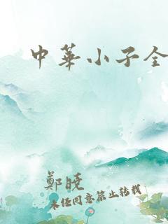 中华小子全集