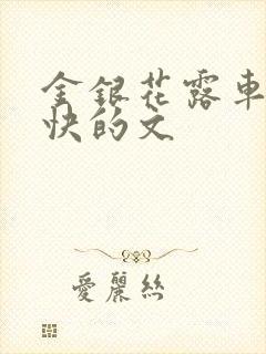 金银花露车速最快的文