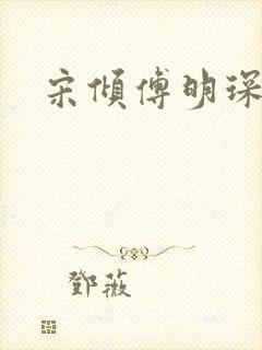 宋倾傅明琛小说