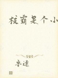 校霸是个小妖精