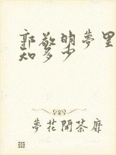 郭敬明梦里花落知多少