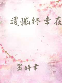 遗憾终常在小说