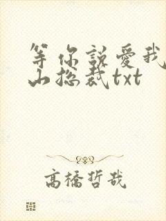 等你说爱我之冰山总裁txt