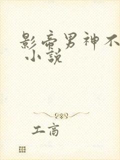 影帝男神不节制 小说