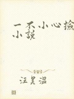 一不小心捡到爱小说