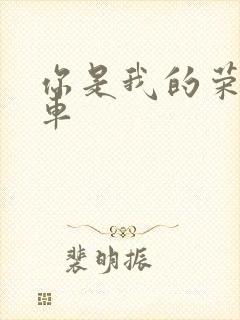 你是我的荣耀肉车