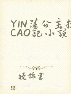 YIN荡公主挨CAO记小说