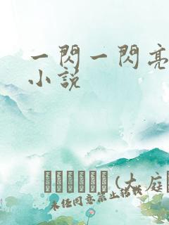 一闪一闪亮晶晶小说