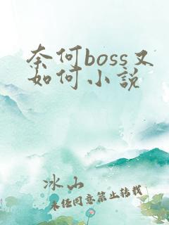 奈何boss又如何小说