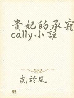 贵妃的承宠日常cally小说