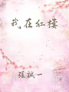 我在红楼