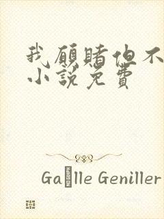 我愿赌但不服输小说免费