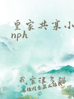 皇家共享小公主nph
