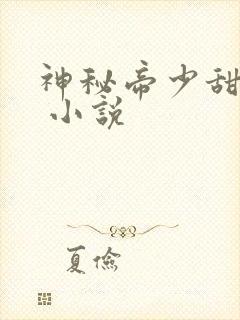 神秘帝少甜宠妻 小说