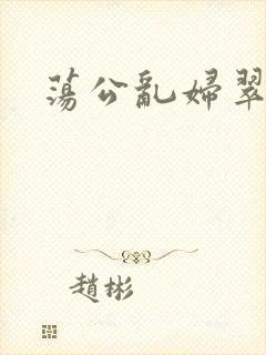 荡公乱妇翠翠