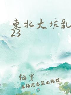 东北大坑乱1—23