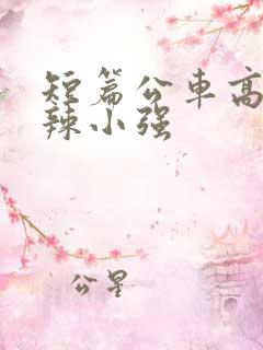 短篇公车高h肉辣小强