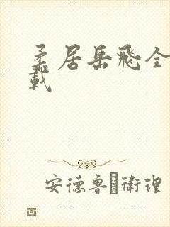 柔居岳飞全传下载