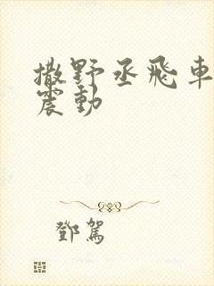 撒野丞飞车道具震动