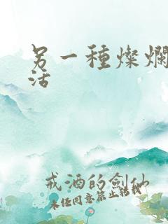 另一种灿烂的生活