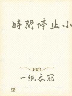 时间停止小说