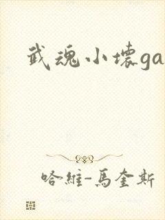 武魂小坏ga
