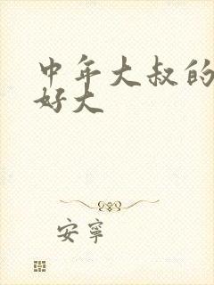 中年大叔的包包好大