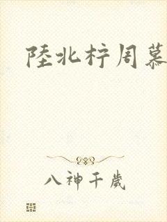 陆北柠周慕深