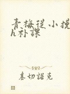 青梅从小摸到大h补课
