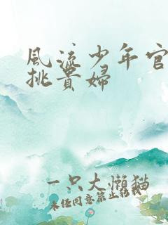 风流少年官途情挑贵妇