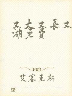 又大又长又租高湖免费