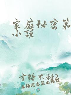 家庭秘密第3集小说