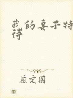 我的妻子特殊招待