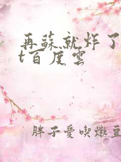 再苏就炸了txt百度云