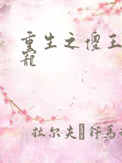 重生之傻王心尖宠