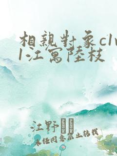 相亲对象c1v1江寓陆枝