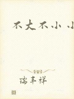 不大不小 小说