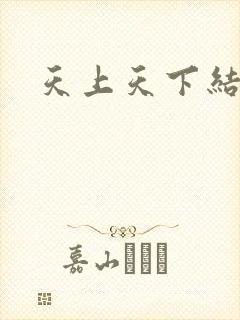 天上天下结局