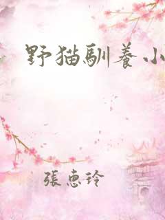 野猫驯养小说