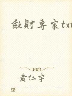 敛财专家txt