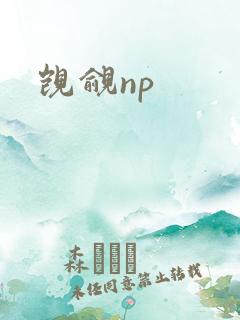 觊觎np